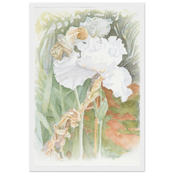 Serenity in Bloom: A Watercolor Celebration of Nature's Elegance by Veronique Semple - Watercolor wall art print