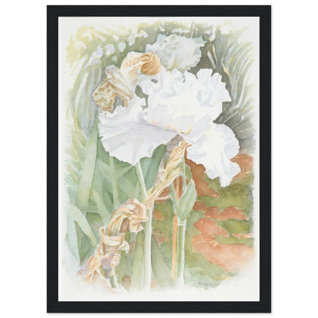 24889eda-c6a4-45f1-8553-44921bc45684