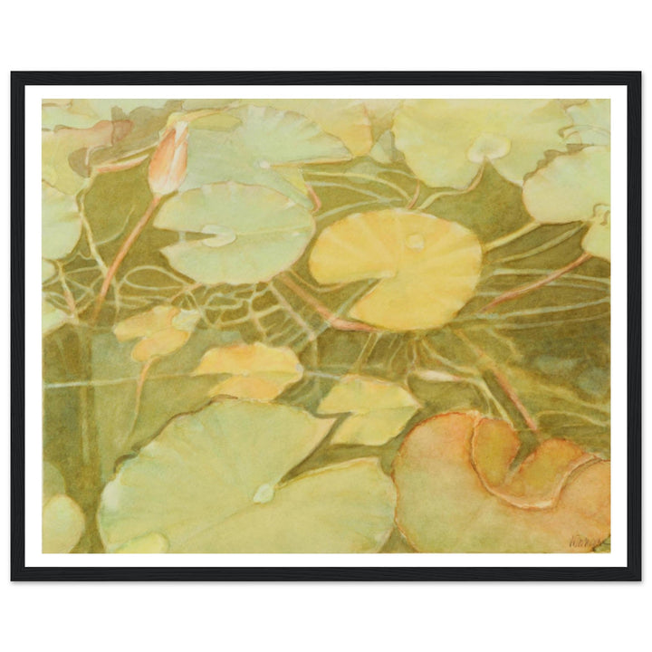 Ethereal Reflection: Serene Water Lilies in Soft Hues by Veronique Semple - Watercolor botanical nature print for home decor
