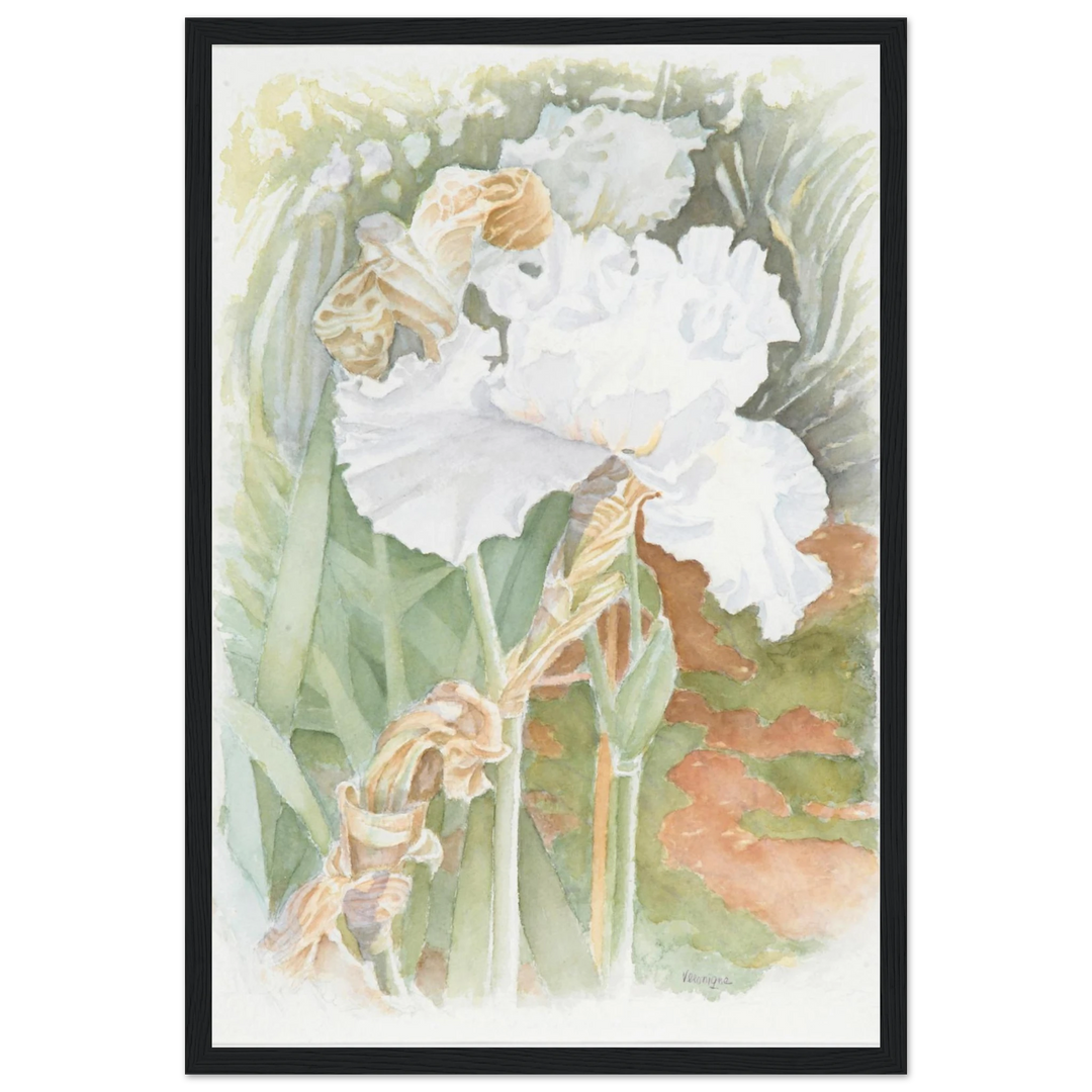 381f56fd-05bd-424b-803d-69530ba90032