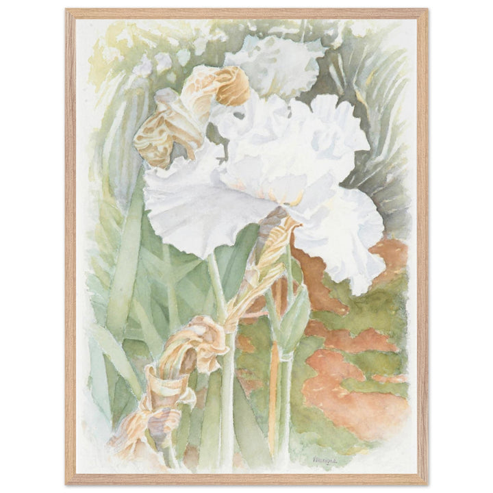 Serenity in Bloom: A Watercolor Celebration of Nature's Elegance by Veronique Semple - Watercolor wall art print