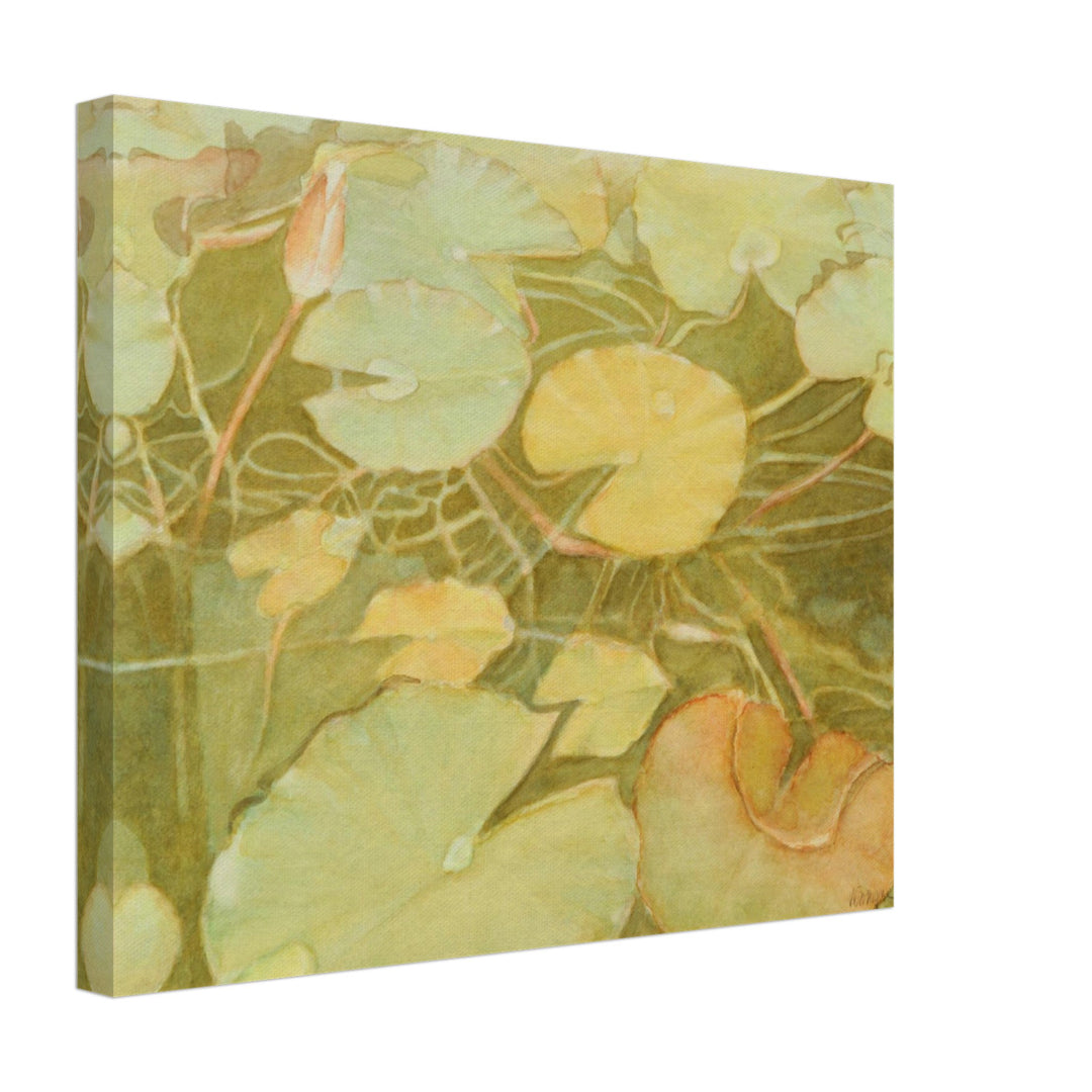 53a90393-3019-4d55-8f9c-c84dc4281514