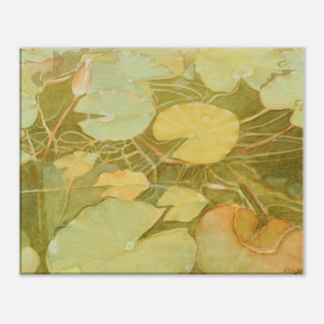 Ethereal Reflection: Serene Water Lilies in Soft Hues by Veronique Semple  - Watercolor botanical print for home decor