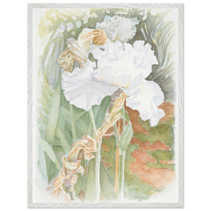 Serenity in Bloom: A Watercolor Celebration of Nature's Elegance by Veronique Semple - Watercolor wall art print