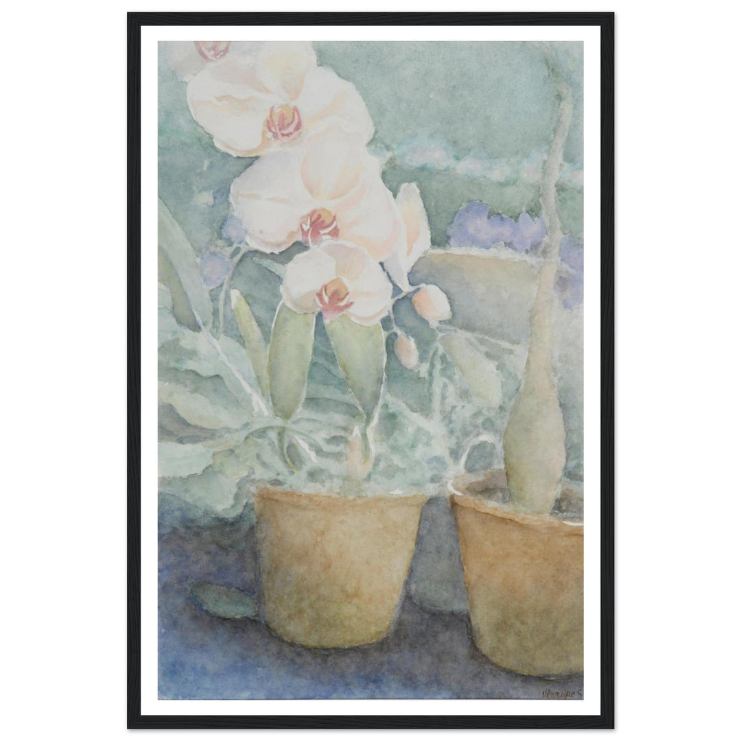 Whispers of Orchids: A Delicate Floral Watercolor by Veronique Semple - Watercolor botanical nature print for home decor