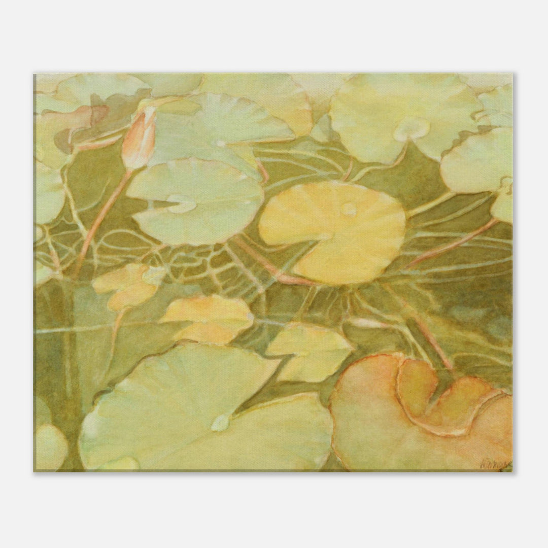 Ethereal Reflection: Serene Water Lilies in Soft Hues by Veronique Semple  - Watercolor botanical print for home decor