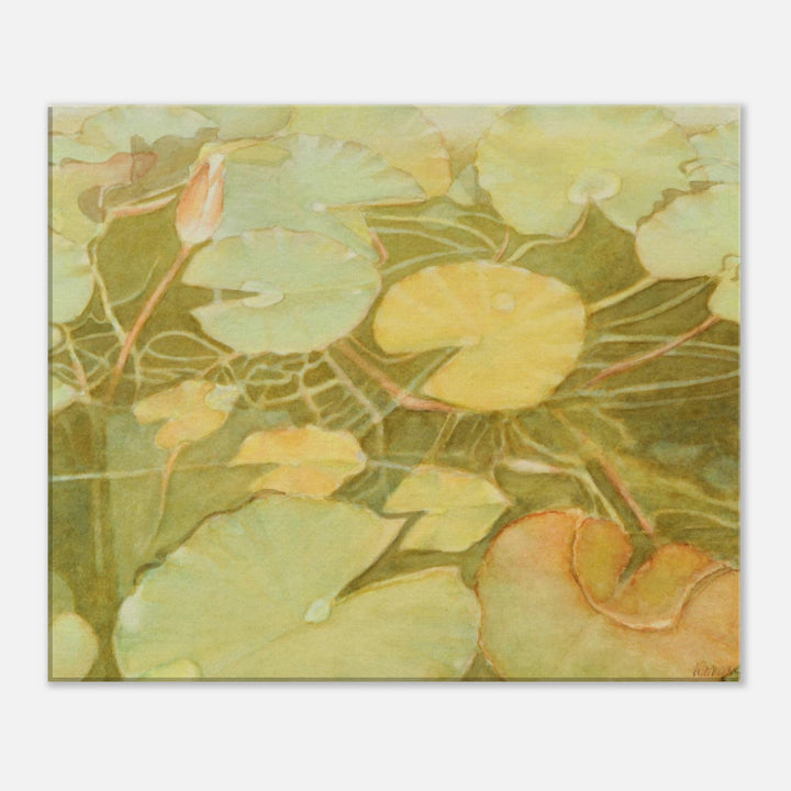 Ethereal Reflection: Serene Water Lilies in Soft Hues by Veronique Semple  - Watercolor botanical print for home decor