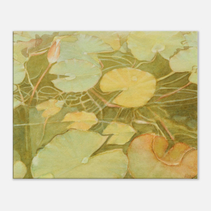 Ethereal Reflection: Serene Water Lilies in Soft Hues by Veronique Semple  - Watercolor botanical print for home decor