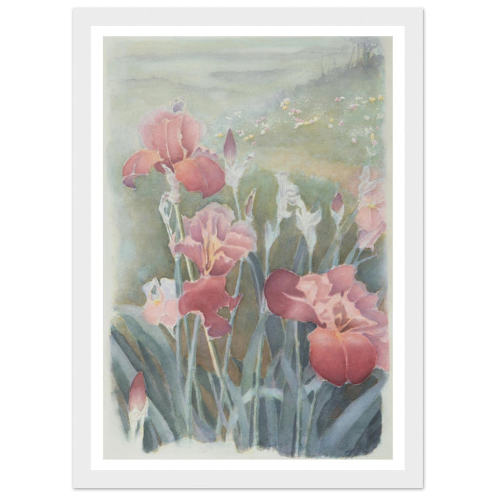 ca55728a-5b60-4e1b-a69a-29ceb14a62bb