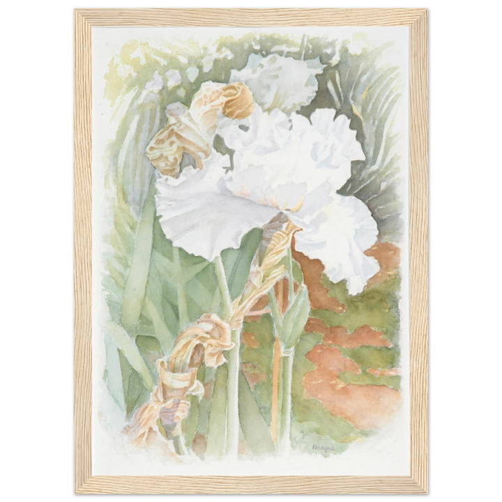 Serenity in Bloom: A Watercolor Celebration of Nature's Elegance by Veronique Semple - Watercolor wall art print