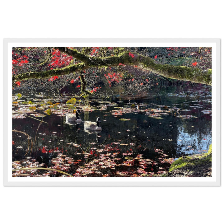 03ebb4a7-bfb6-43a1-ab5a-4ccbcf723ce2