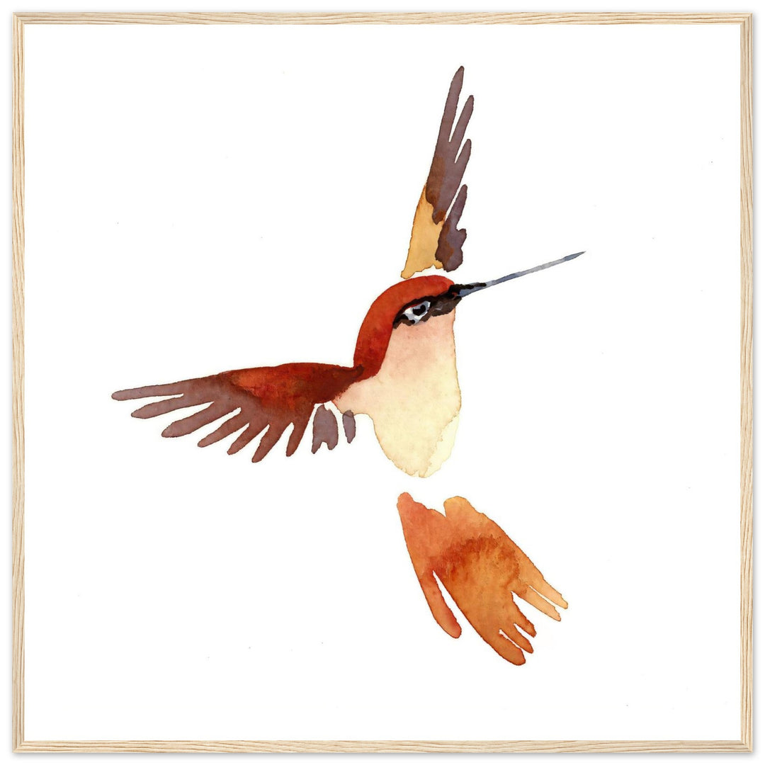 Graceful Hummingbird: Exquisite Watercolor Art Print by Andrew Semple - Watercolor watercolor print for home decor