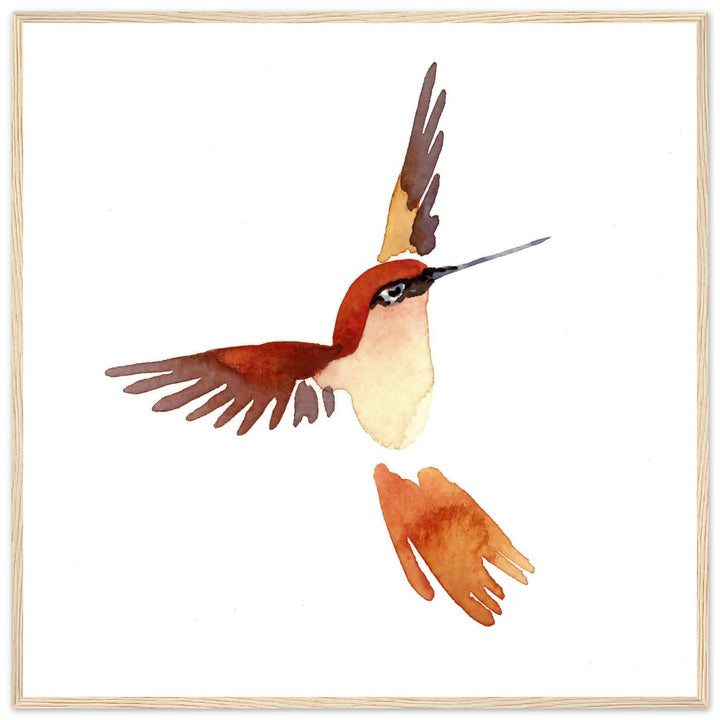 Graceful Hummingbird: Exquisite Watercolor Art Print by Andrew Semple - Watercolor watercolor print for home decor