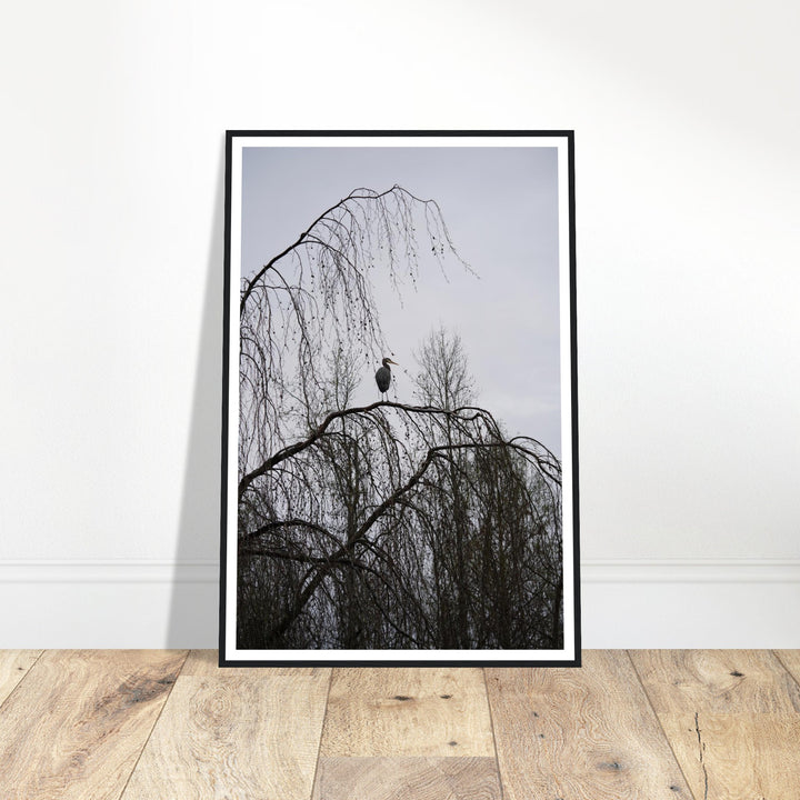 "The Sentinel" Majestic Heron Serene Nature Wall Art by Andrew Semple - Photography wildlife photography print for home decor