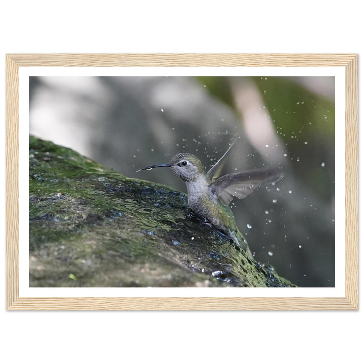 07b53187-f47c-4f0f-85cc-5ac26c431c6f