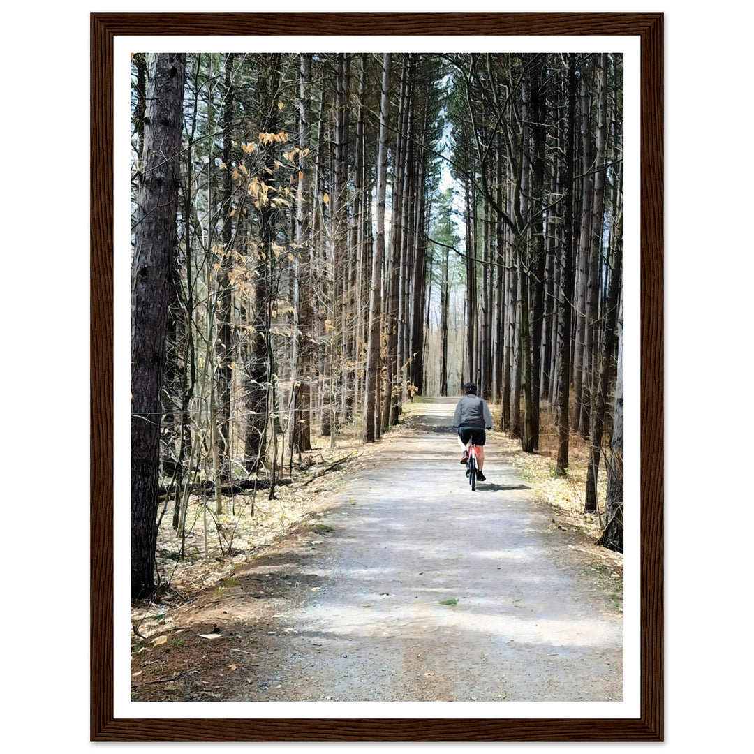 Serene Forest Bike Ride | Nature Landscape Art Print by Studio Shefford - Photo Art Composition wall art print