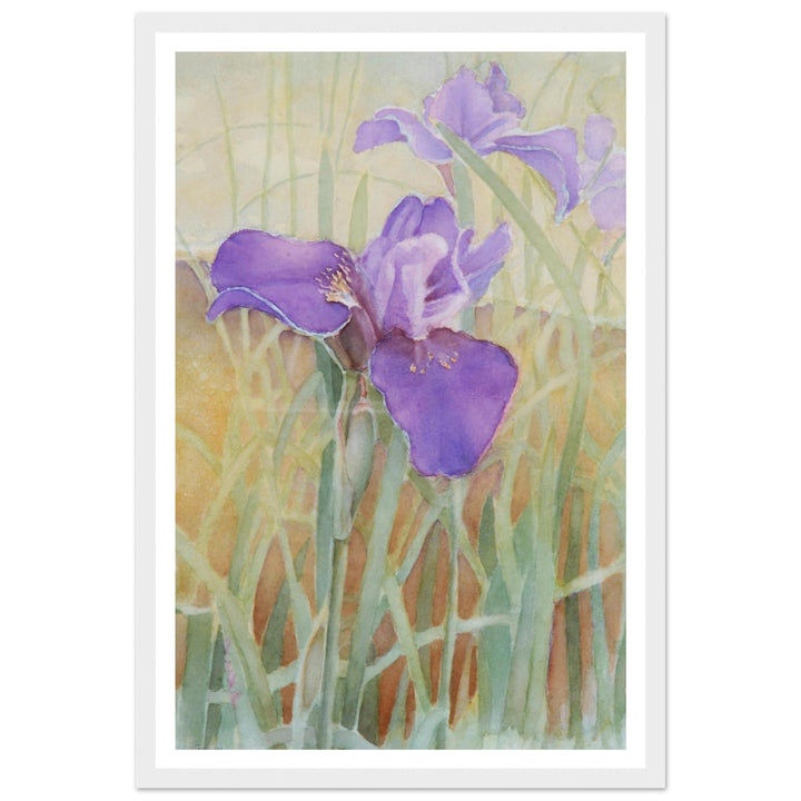 Vibrant Iris Blossoms: A Watercolor Celebration of Nature's Beauty by Veronique Semple - Watercolor wall art print