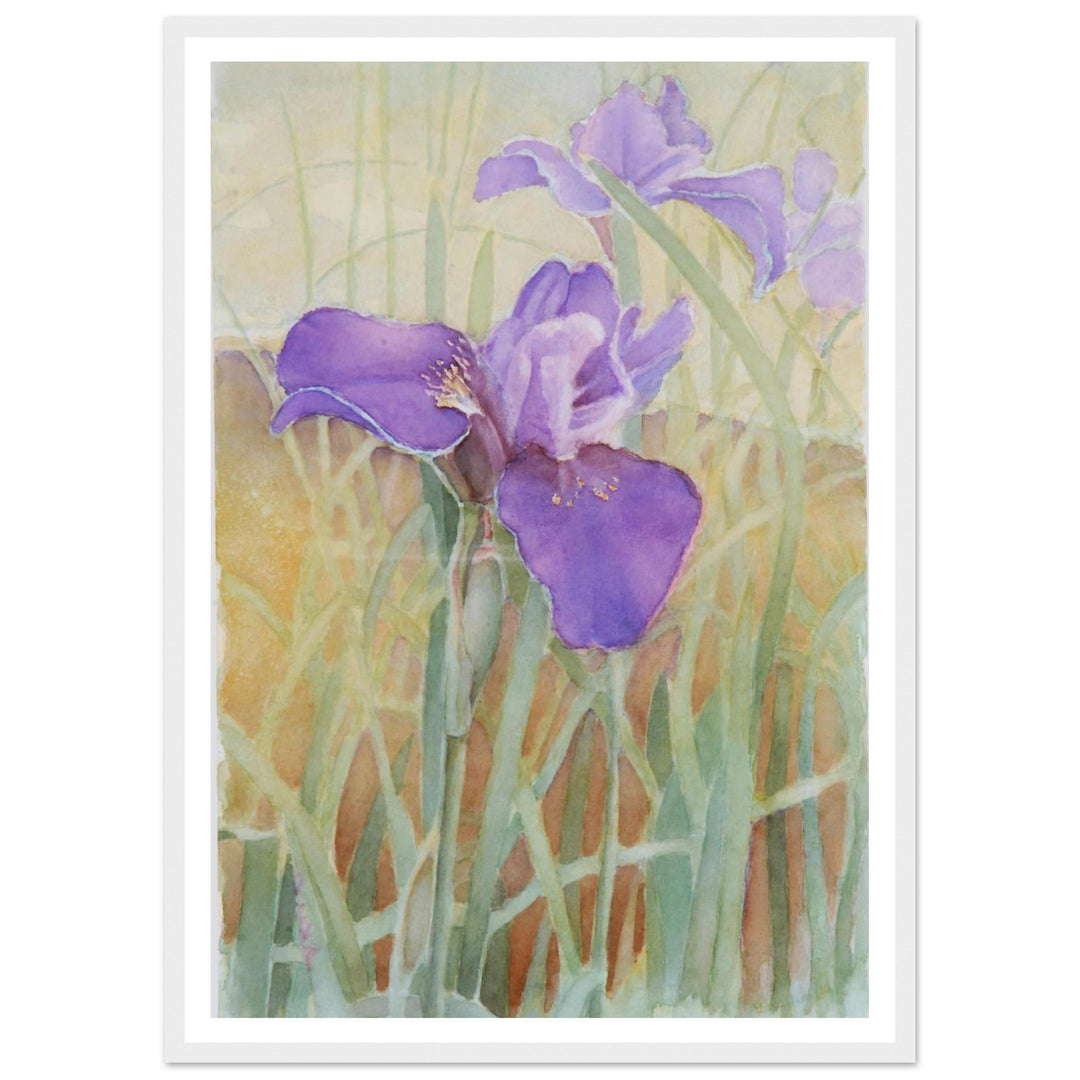Vibrant Iris Blossoms: A Watercolor Celebration of Nature's Beauty by Veronique Semple - Watercolor wall art print