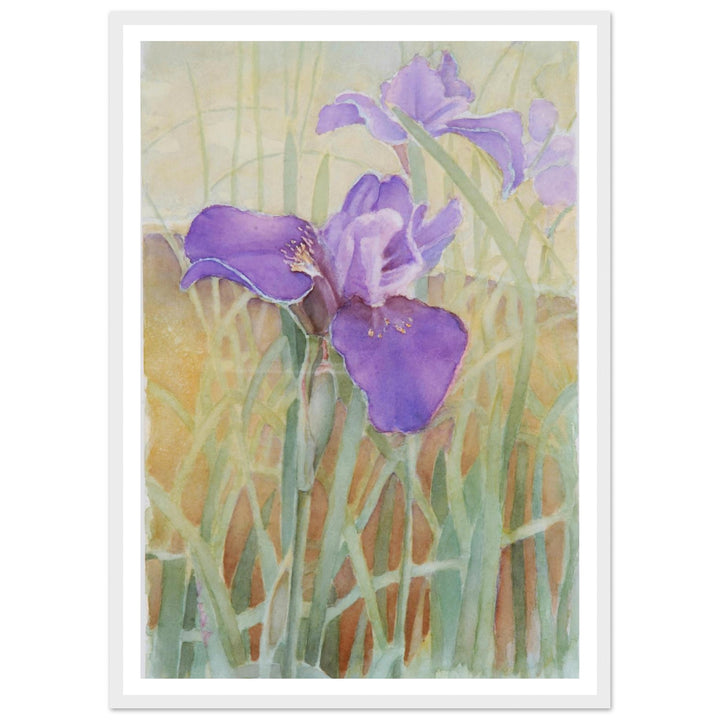 Vibrant Iris Blossoms: A Watercolor Celebration of Nature's Beauty by Veronique Semple - Watercolor wall art print