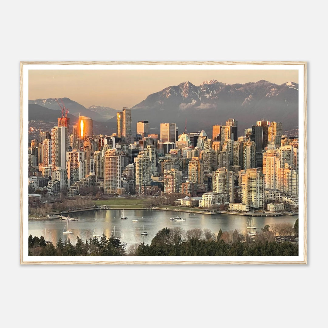 1559f0cf-37d4-480b-b7b8-9730c5b5c9bf