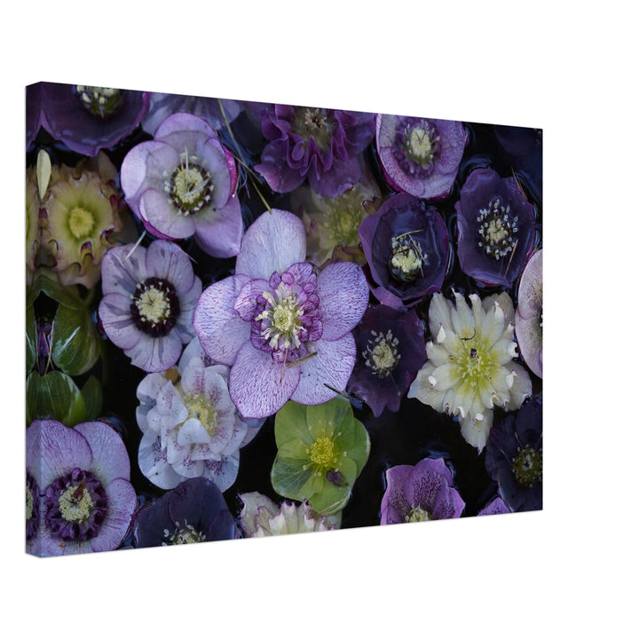 Enchanting Floral Blush Wall Art by Andrew Semple - Photography botanical/nature print for home decor