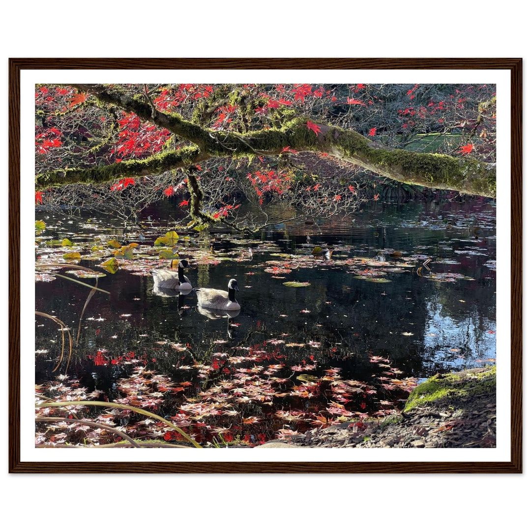 1716b21e-7dfc-4c81-9a62-ddbb593d22ef