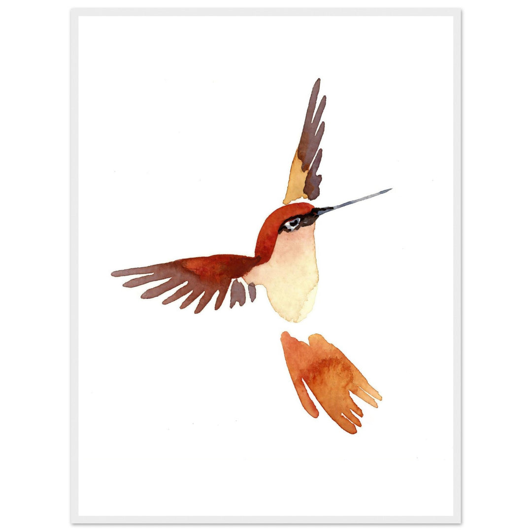Graceful Hummingbird: Exquisite Watercolor Art Print by Andrew Semple - Watercolor watercolor print for home decor