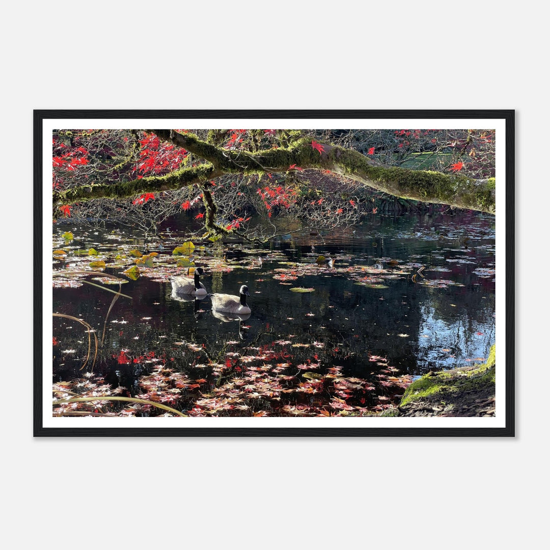 1a0d35c2-edc4-4d2b-94f5-31e5f6c26b01