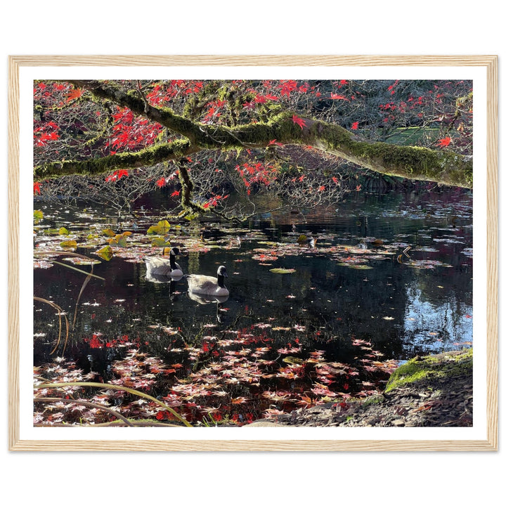 2431f9dc-afc6-4404-8fb7-7938c98a318b