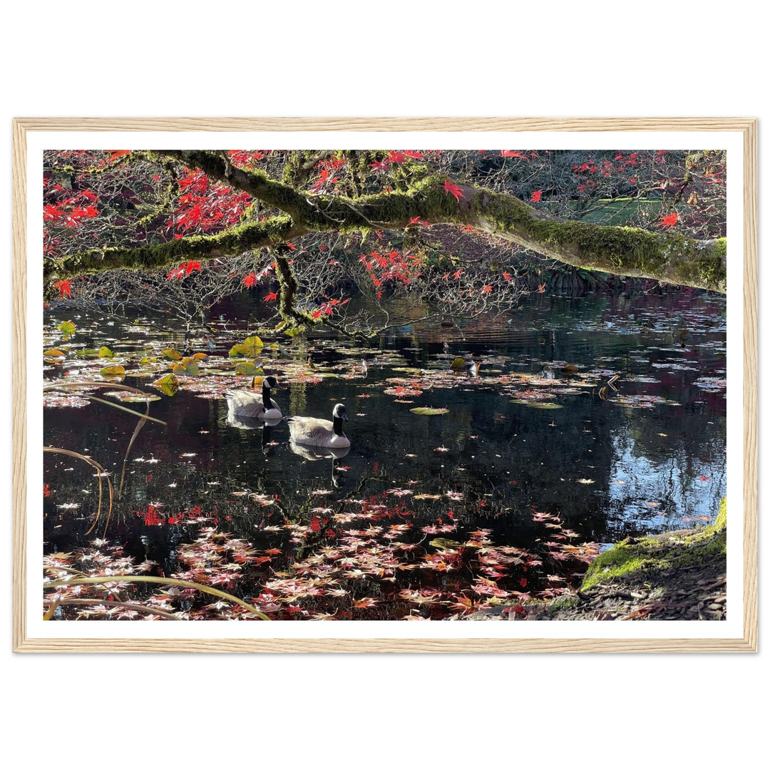 269fb6b1-f728-48b4-9fec-95fcbe64332e