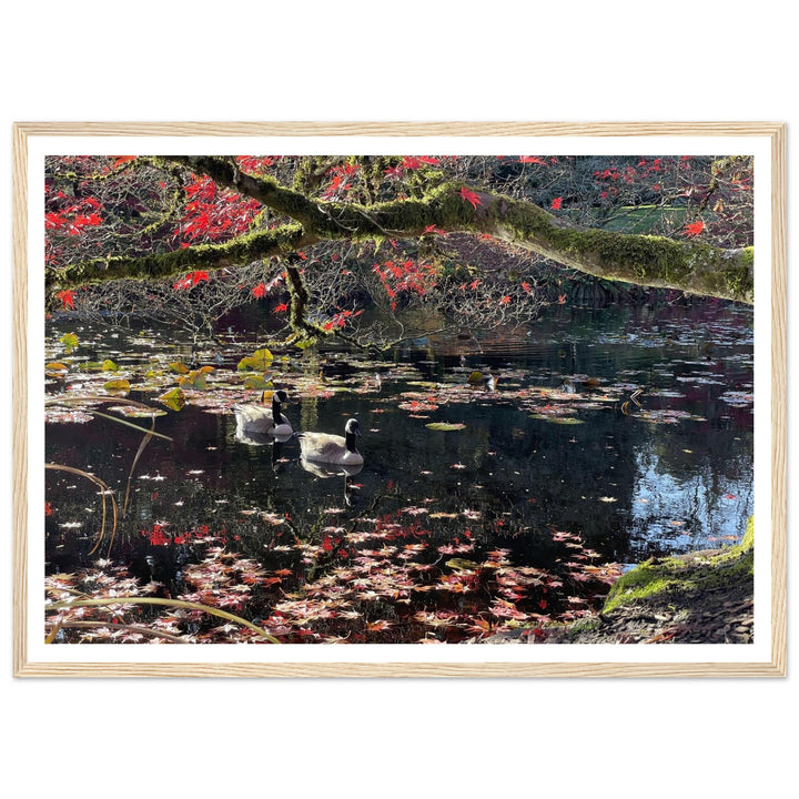 269fb6b1-f728-48b4-9fec-95fcbe64332e