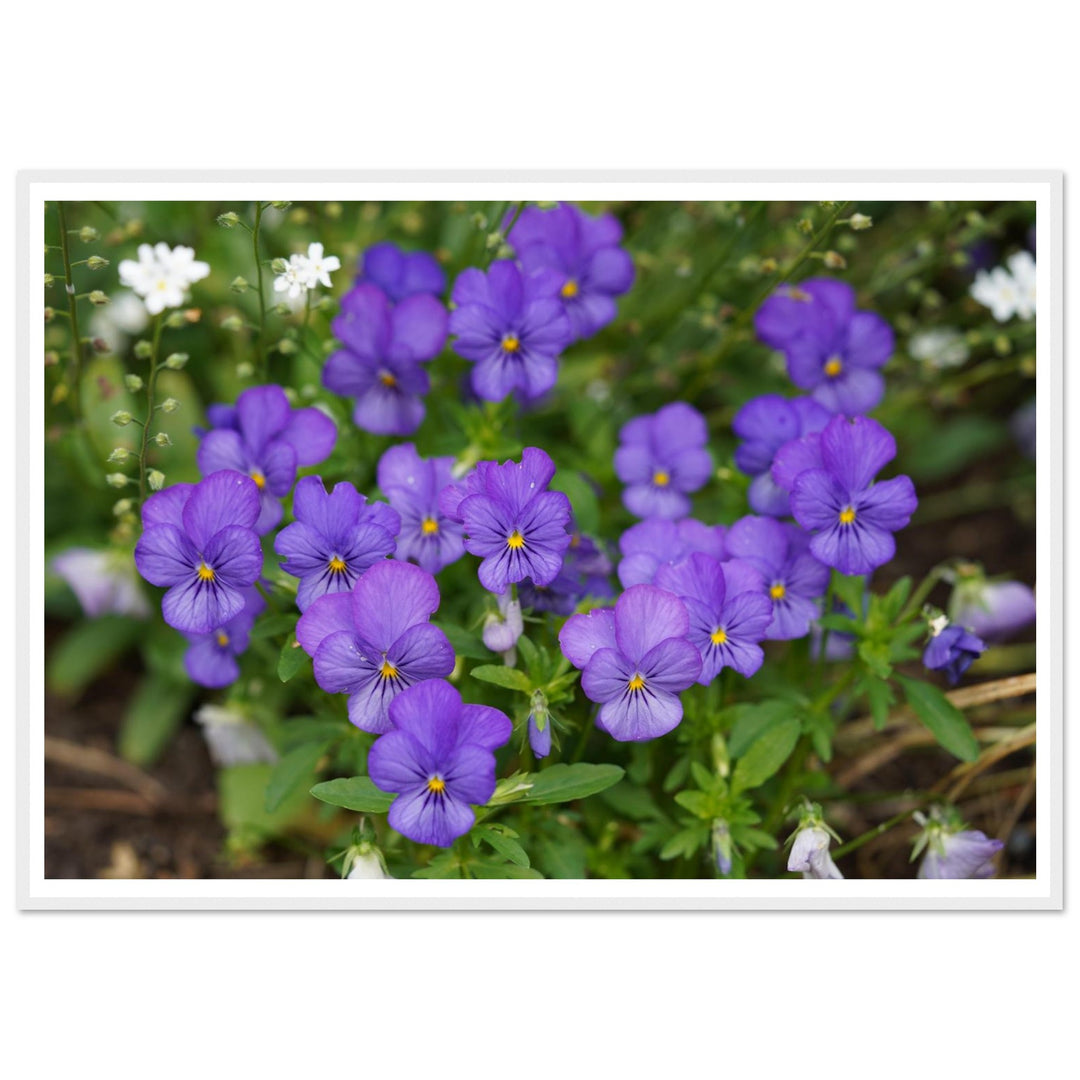 2acbe4cd-f369-4cc5-acf1-a970e7c2836a