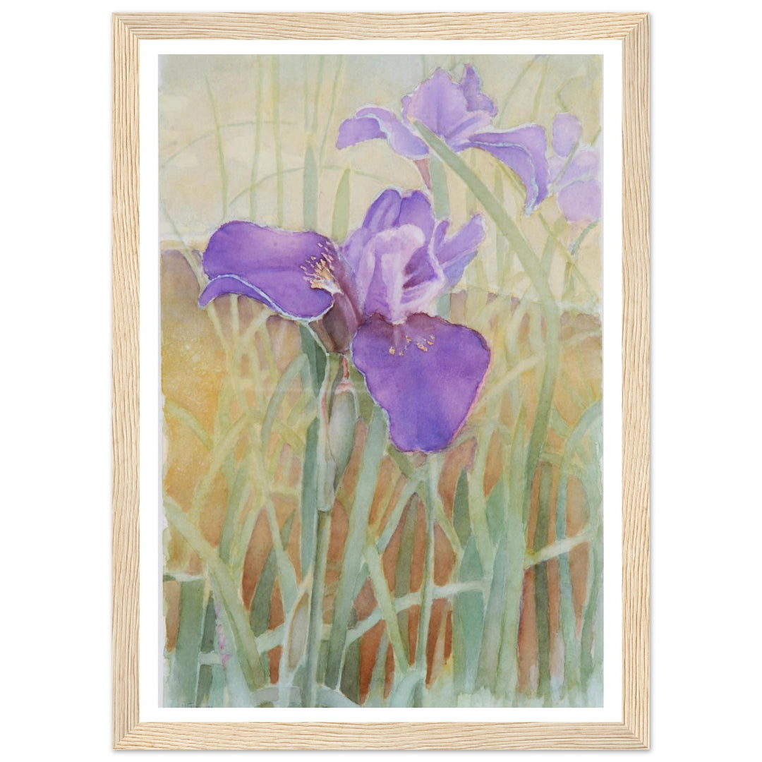 Vibrant Iris Blossoms: A Watercolor Celebration of Nature's Beauty by Veronique Semple - Watercolor wall art print