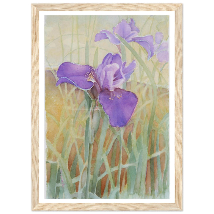Vibrant Iris Blossoms: A Watercolor Celebration of Nature's Beauty by Veronique Semple - Watercolor wall art print