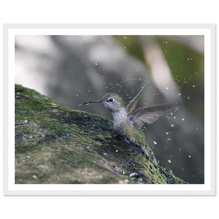 303b081b-8018-4551-9950-8040ae4580a1