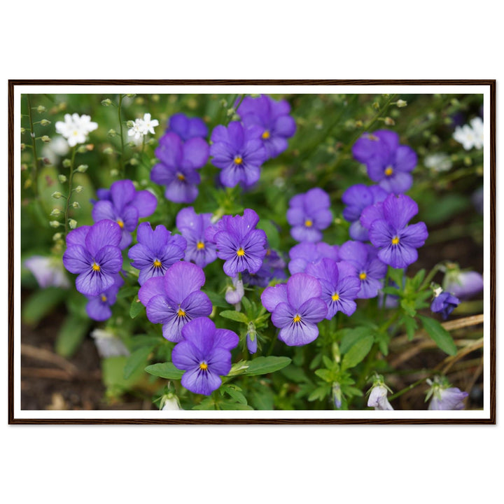 33faa20a-d11d-4842-a4a3-1c77c9dd8bc6