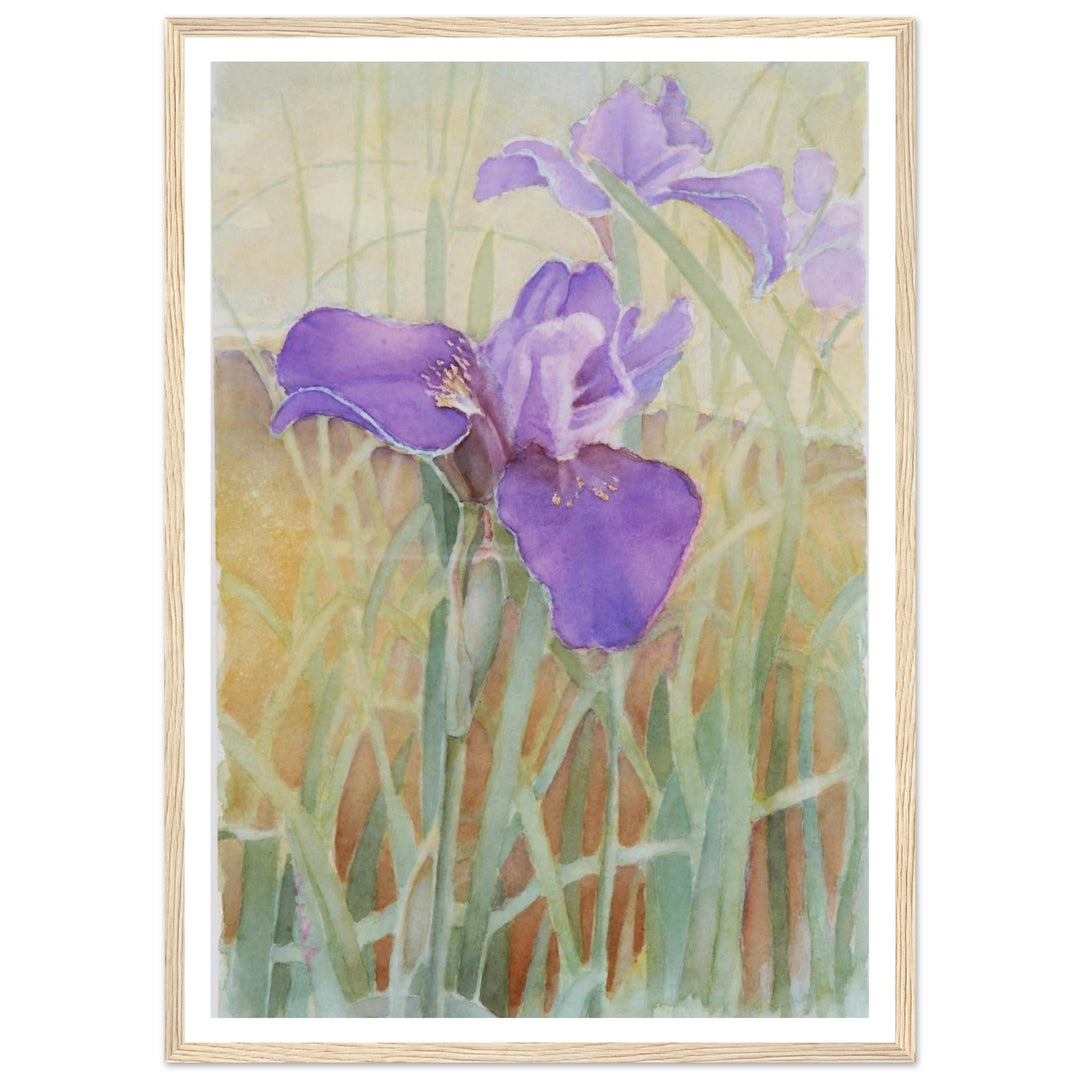 Vibrant Iris Blossoms: A Watercolor Celebration of Nature's Beauty by Veronique Semple - Watercolor wall art print