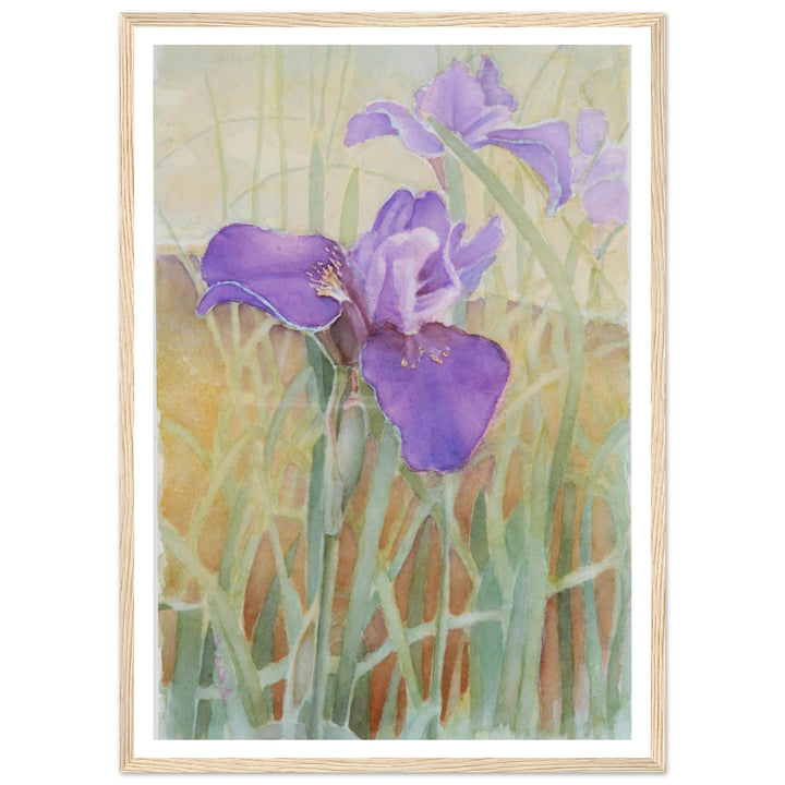 Vibrant Iris Blossoms: A Watercolor Celebration of Nature's Beauty by Veronique Semple - Watercolor wall art print