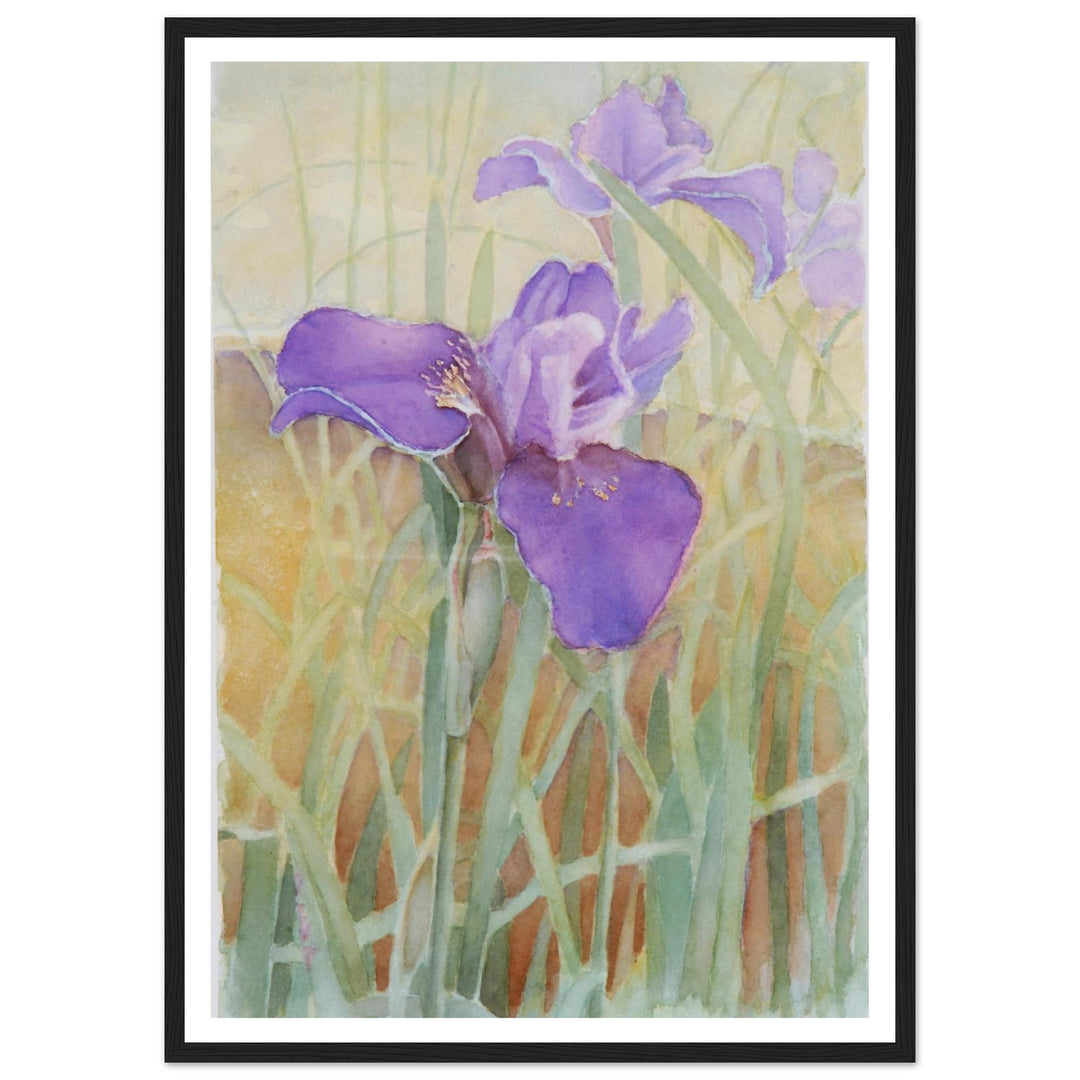 Vibrant Iris Blossoms: A Watercolor Celebration of Nature's Beauty by Veronique Semple - Watercolor wall art print