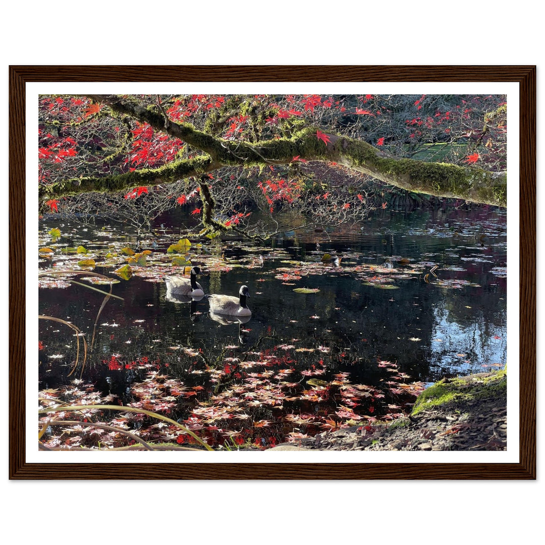 3822f17d-e648-47f3-a097-c170d24a7cdc