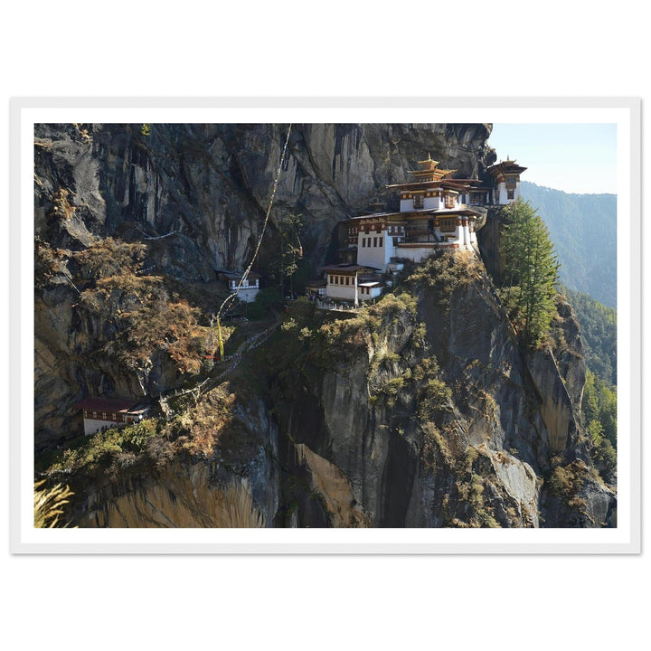 3d92146c-e268-4e74-bf8b-3b62b16e840d