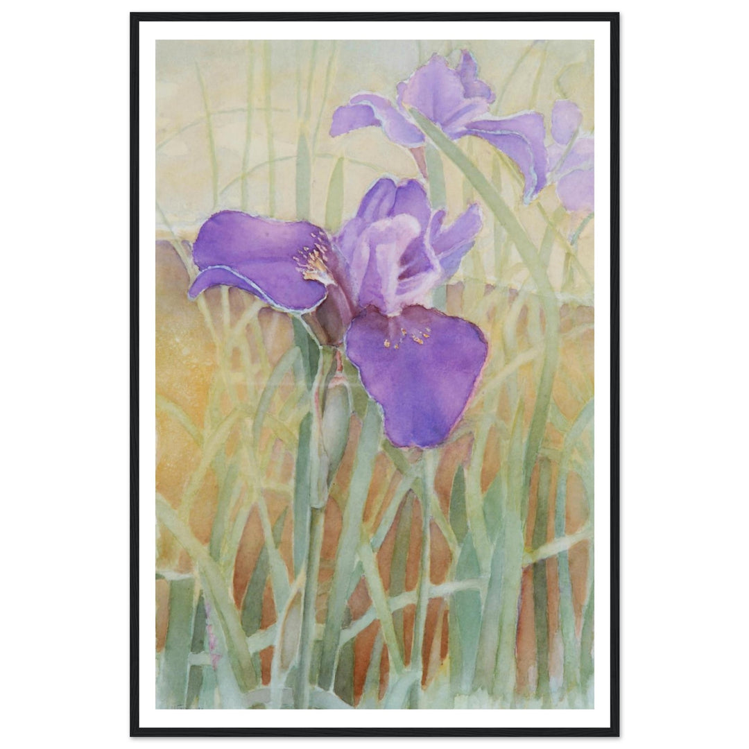 Vibrant Iris Blossoms: A Watercolor Celebration of Nature's Beauty by Veronique Semple - Watercolor wall art print