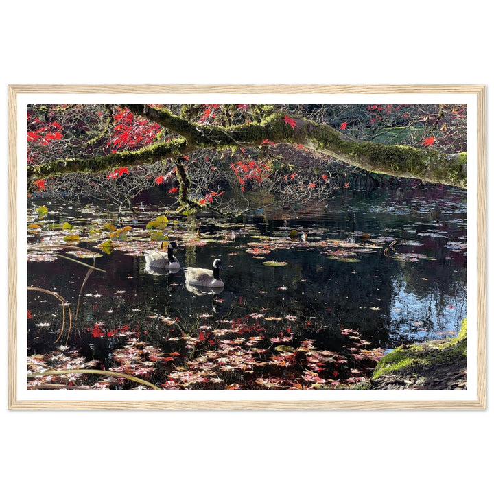 42d33418-8d3f-444c-9dcc-619ea7628669