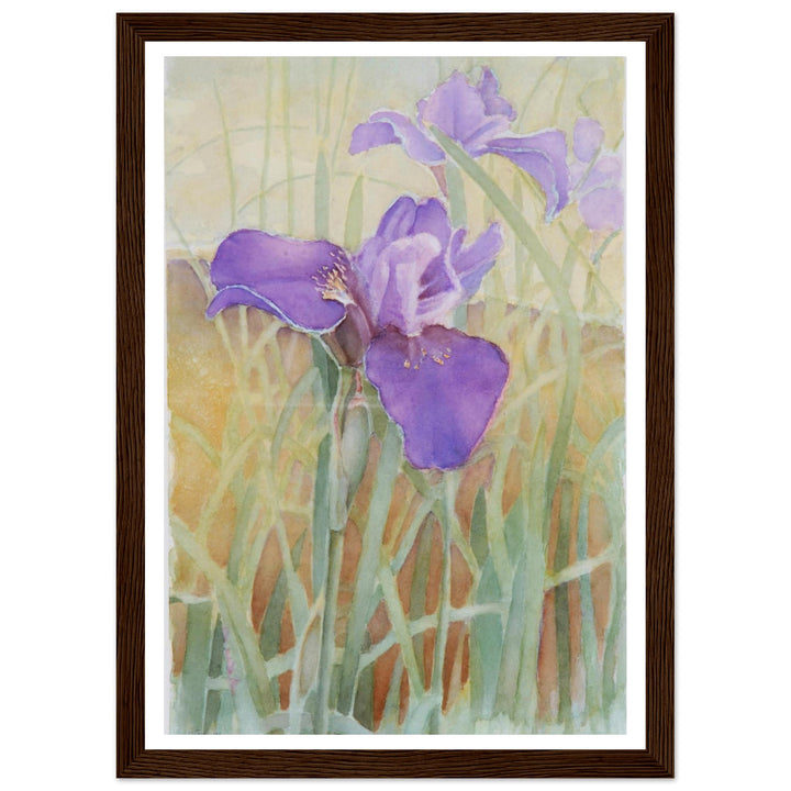 Vibrant Iris Blossoms: A Watercolor Celebration of Nature's Beauty by Veronique Semple - Watercolor wall art print
