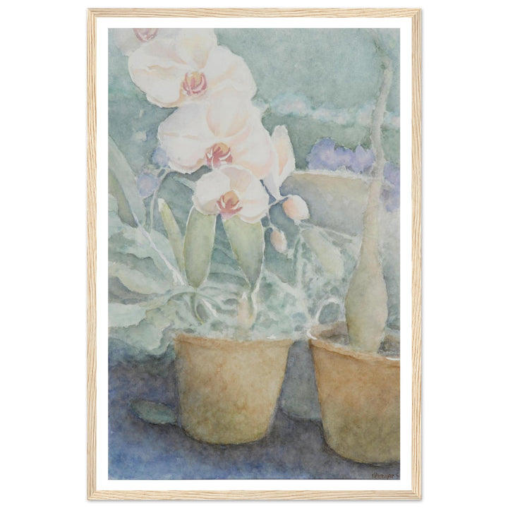 Whispers of Orchids: A Delicate Floral Watercolor by Veronique Semple - Watercolor botanical nature print for home decor