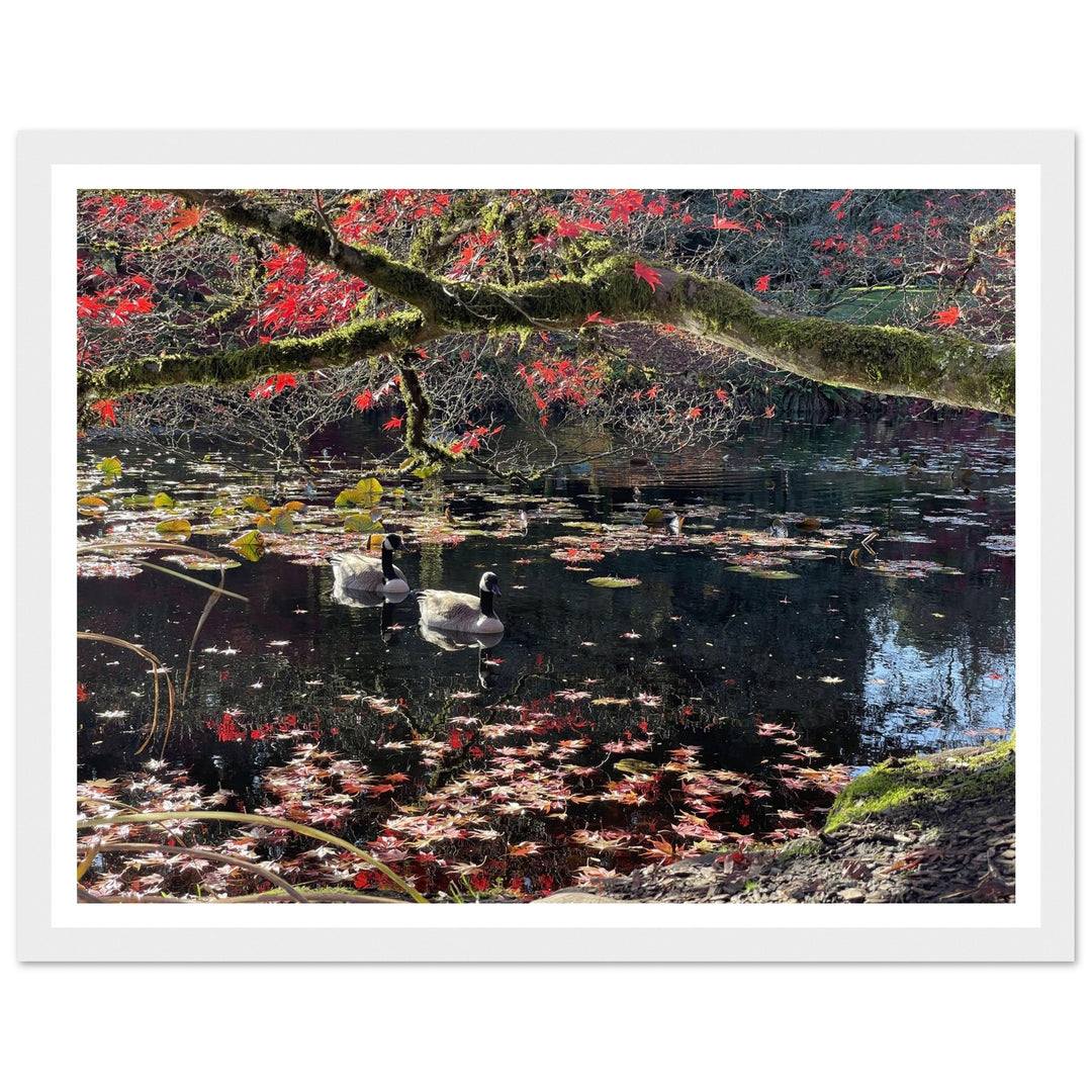 4935f0d2-b17a-4a8c-826c-03887271bb33