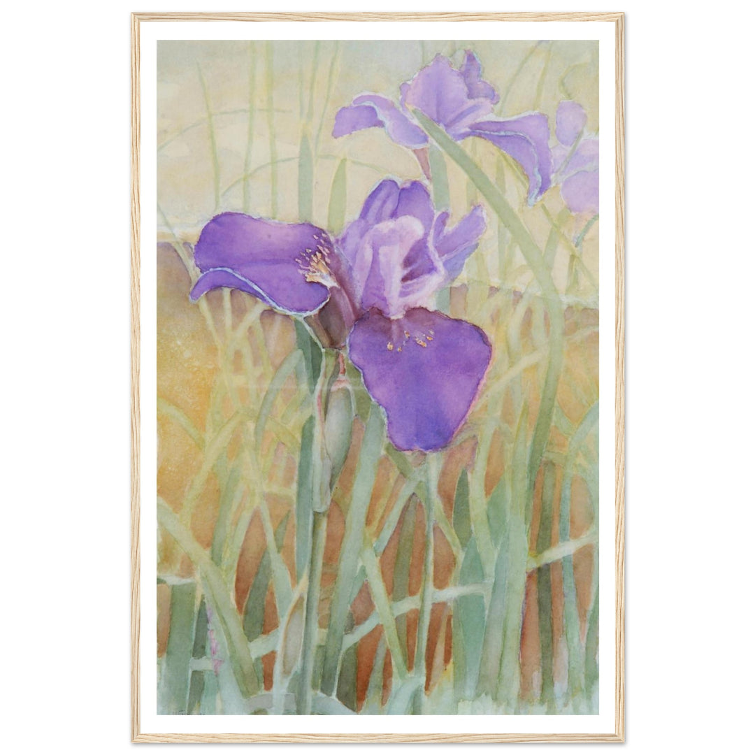Vibrant Iris Blossoms: A Watercolor Celebration of Nature's Beauty by Veronique Semple - Watercolor wall art print