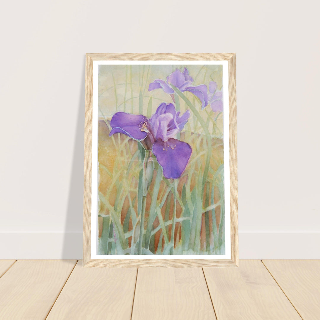 Vibrant Iris Blossoms: A Watercolor Celebration of Nature's Beauty by Veronique Semple - Watercolor wall art print