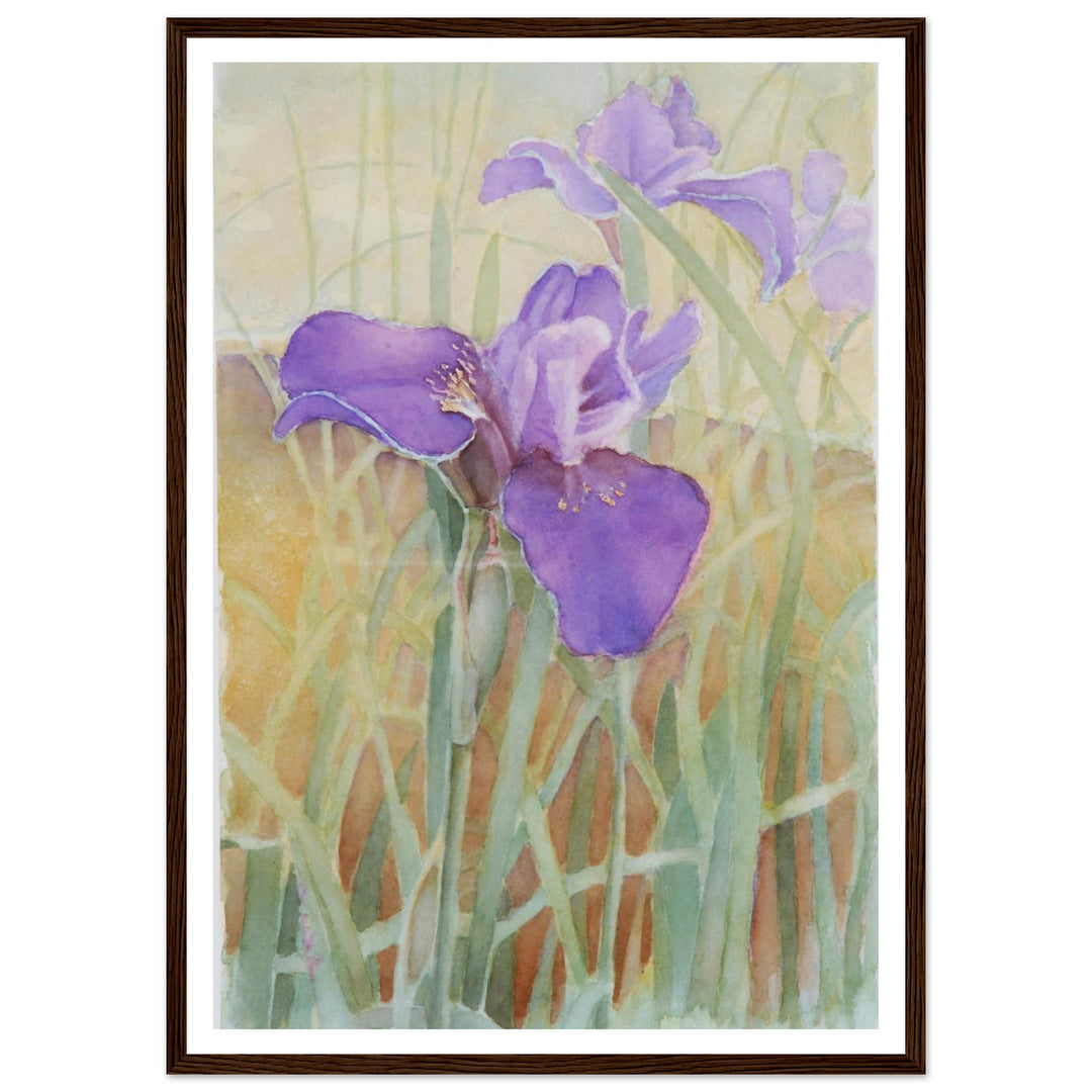 Vibrant Iris Blossoms: A Watercolor Celebration of Nature's Beauty by Veronique Semple - Watercolor wall art print
