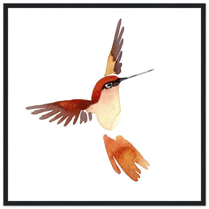 Graceful Hummingbird: Exquisite Watercolor Art Print by Andrew Semple - Watercolor watercolor print for home decor